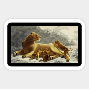 Lioness and Cubs Sticker